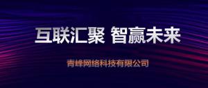 “互聯(lián)聚匯，智贏未來” 2019焦作青峰全網(wǎng)合作峰會***成功！